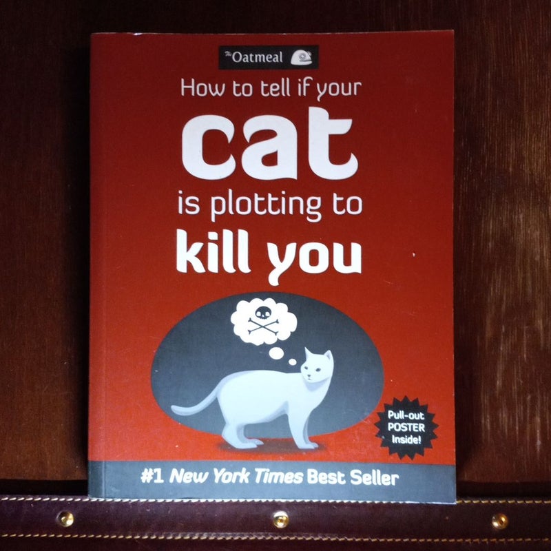 How to Tell If Your Cat Is Plotting to Kill You