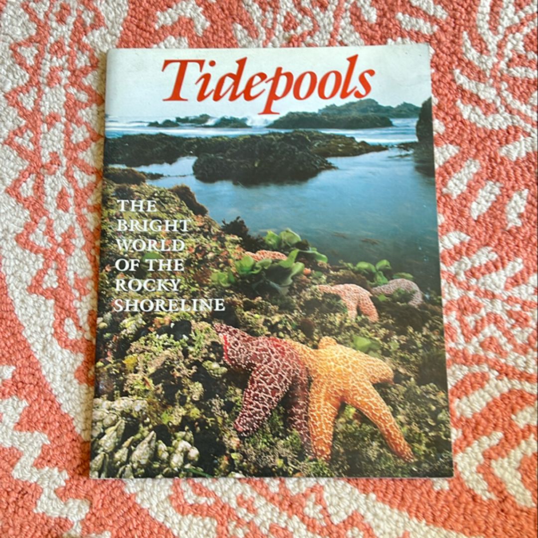 Tidepools