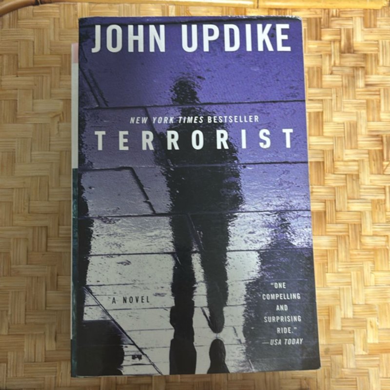 Updike Bundle - 4 Books