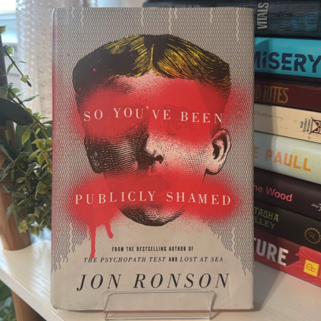 So You've Been Publicly Shamed