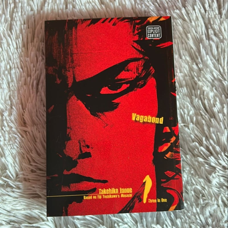 Vagabond (VIZBIG Edition), Vol. 1