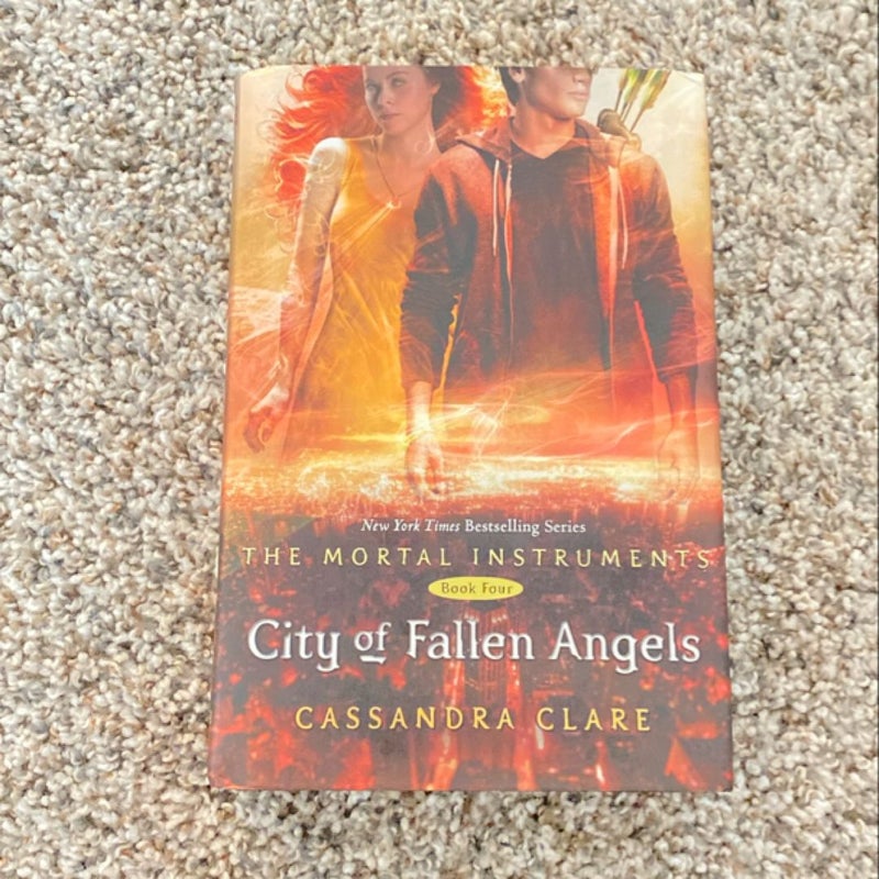 City of Fallen Angels