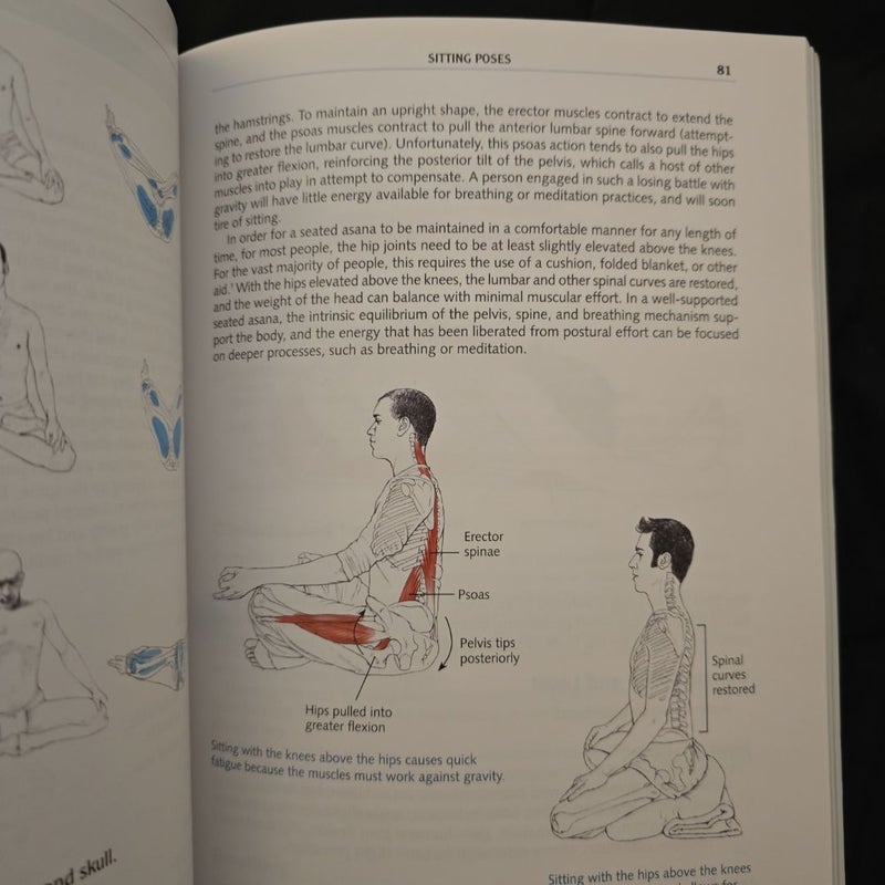 Yoga Anatomy