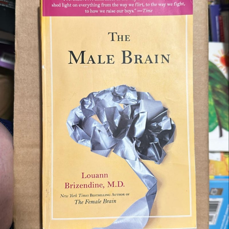 The Male Brain