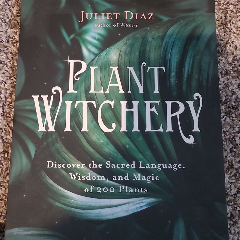 Witchery - by Juliet Diaz (Paperback)