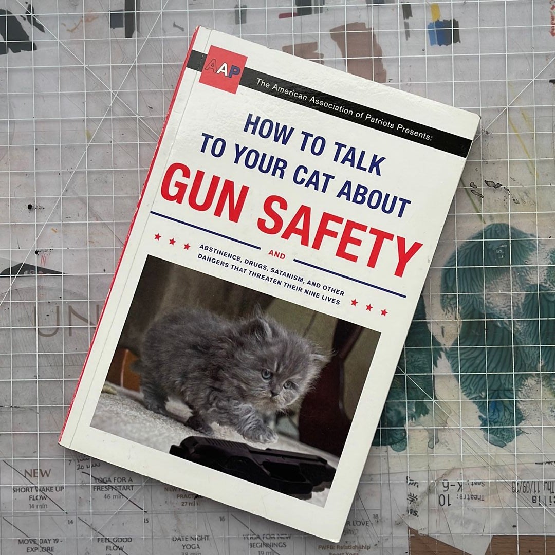 How to Talk to Your Cat About Gun Safety by Zachary Auburn – KimMiE Book  Review – Cannonball Read 16