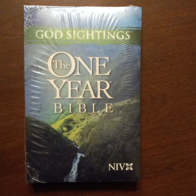 God Sightings: the One Year Bible