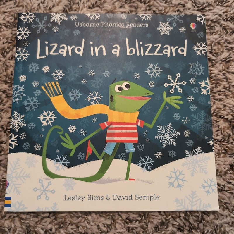 Lizard in a Blizzard