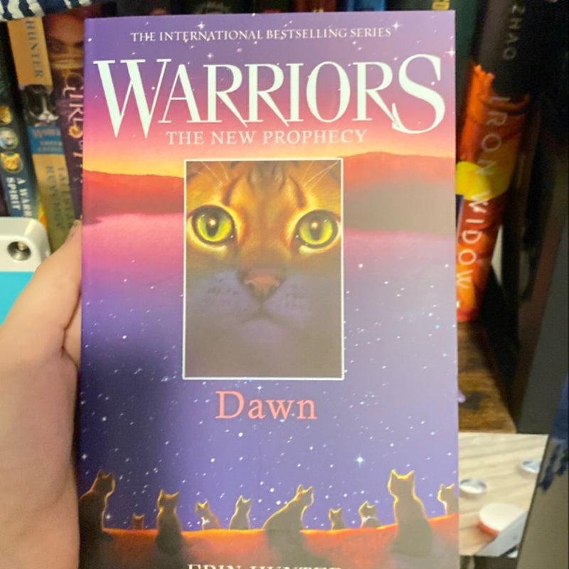 Warriors: Dawn