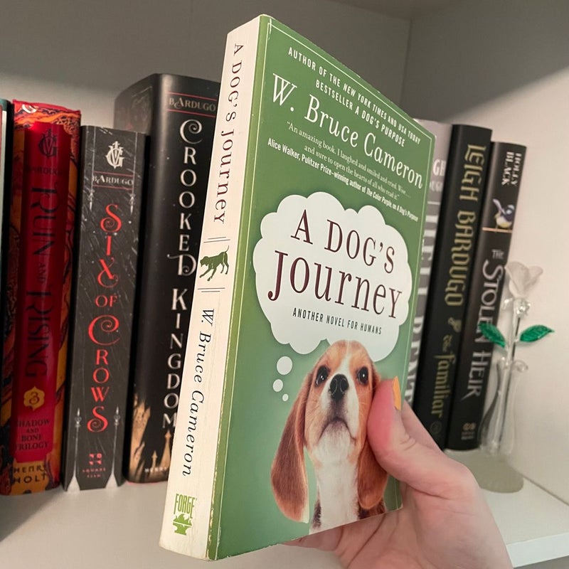 A Dog’s Journey
