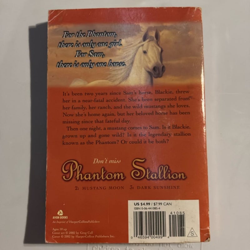 Phantom Stallion (The Wild One)