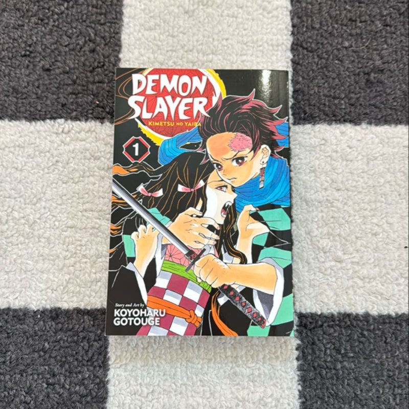 Demon Slayer: Kimetsu No Yaiba, Vol. 1