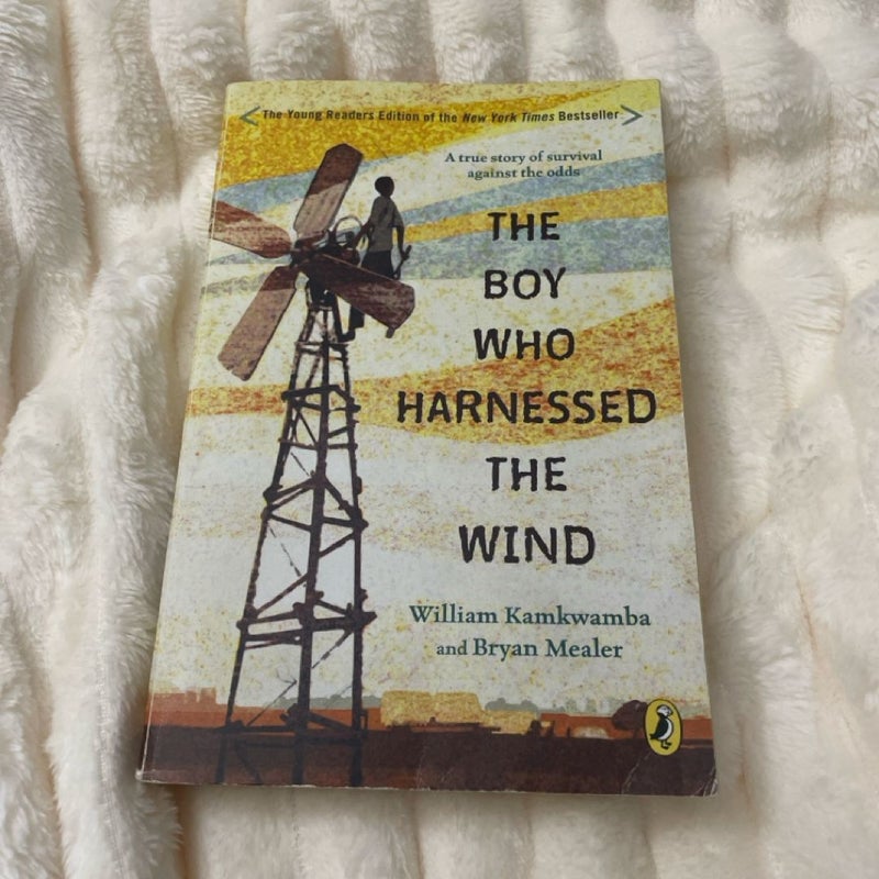 The Boy Who Harnessed the Wind