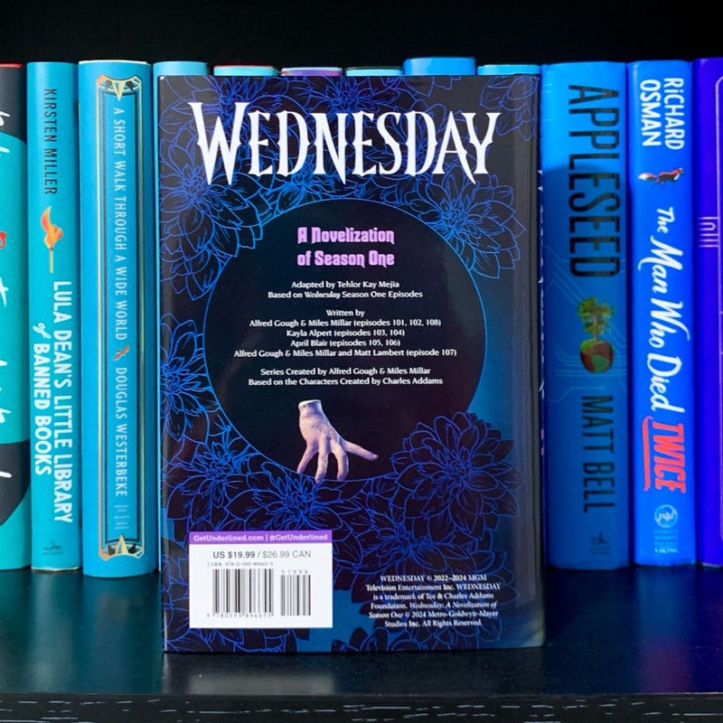 Wednesday: a Novelization of Season One