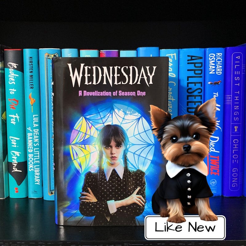 Wednesday: a Novelization of Season One