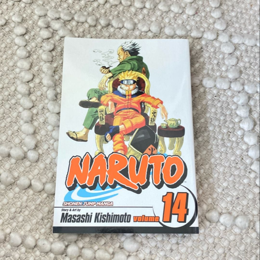 Naruto, Vol. 14