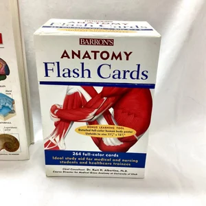 Barron's Anatomy Flashcards