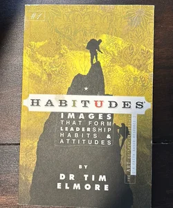 Habitudes, the Art of Self Leadership (A Faith Based Resource)