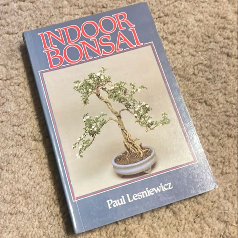 Indoor Bonsai