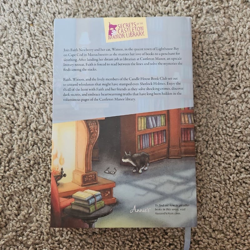 A Novel Murder