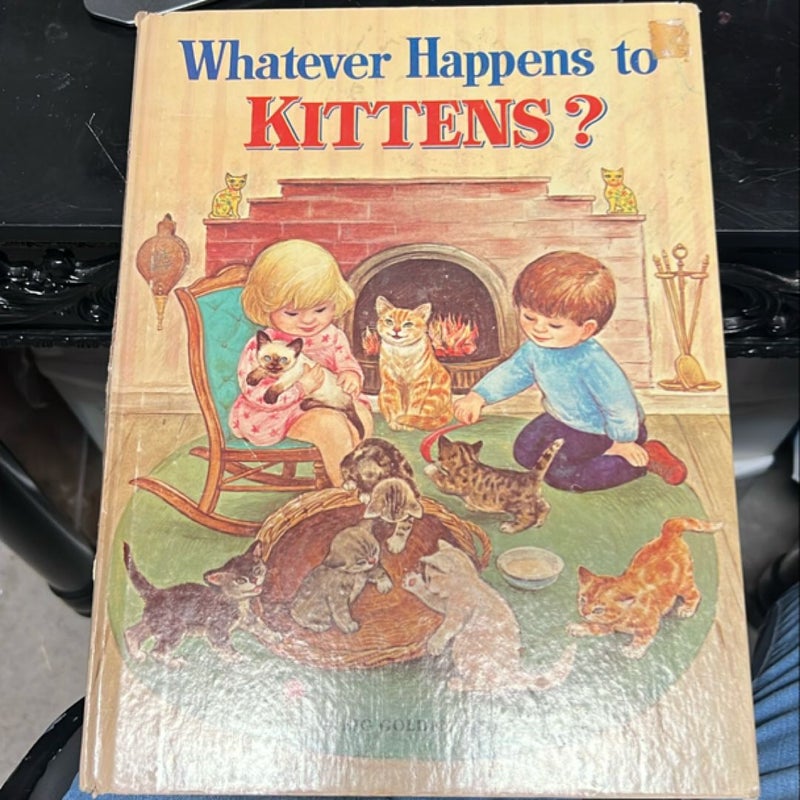 Whatever Happens to Kittens? 