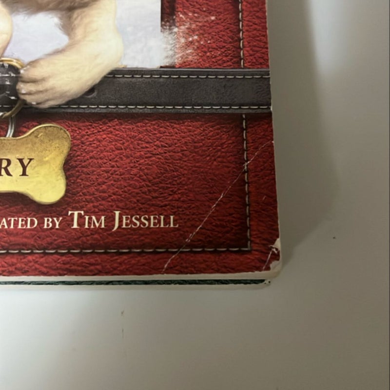 Dog Diaries 