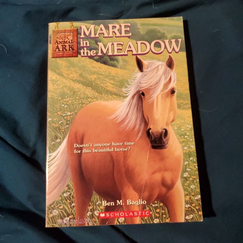 Mare in the Meadow