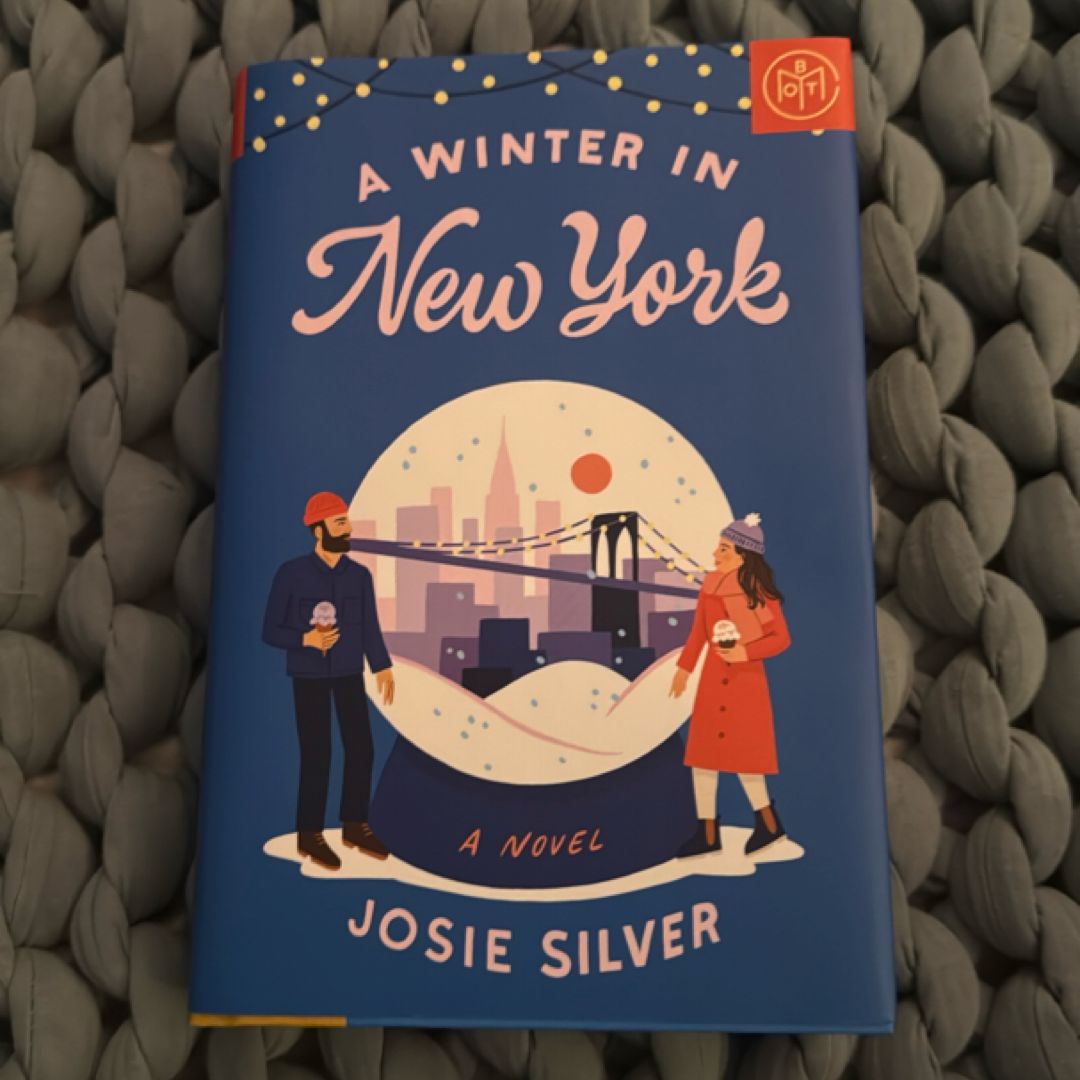 A Winter in New York