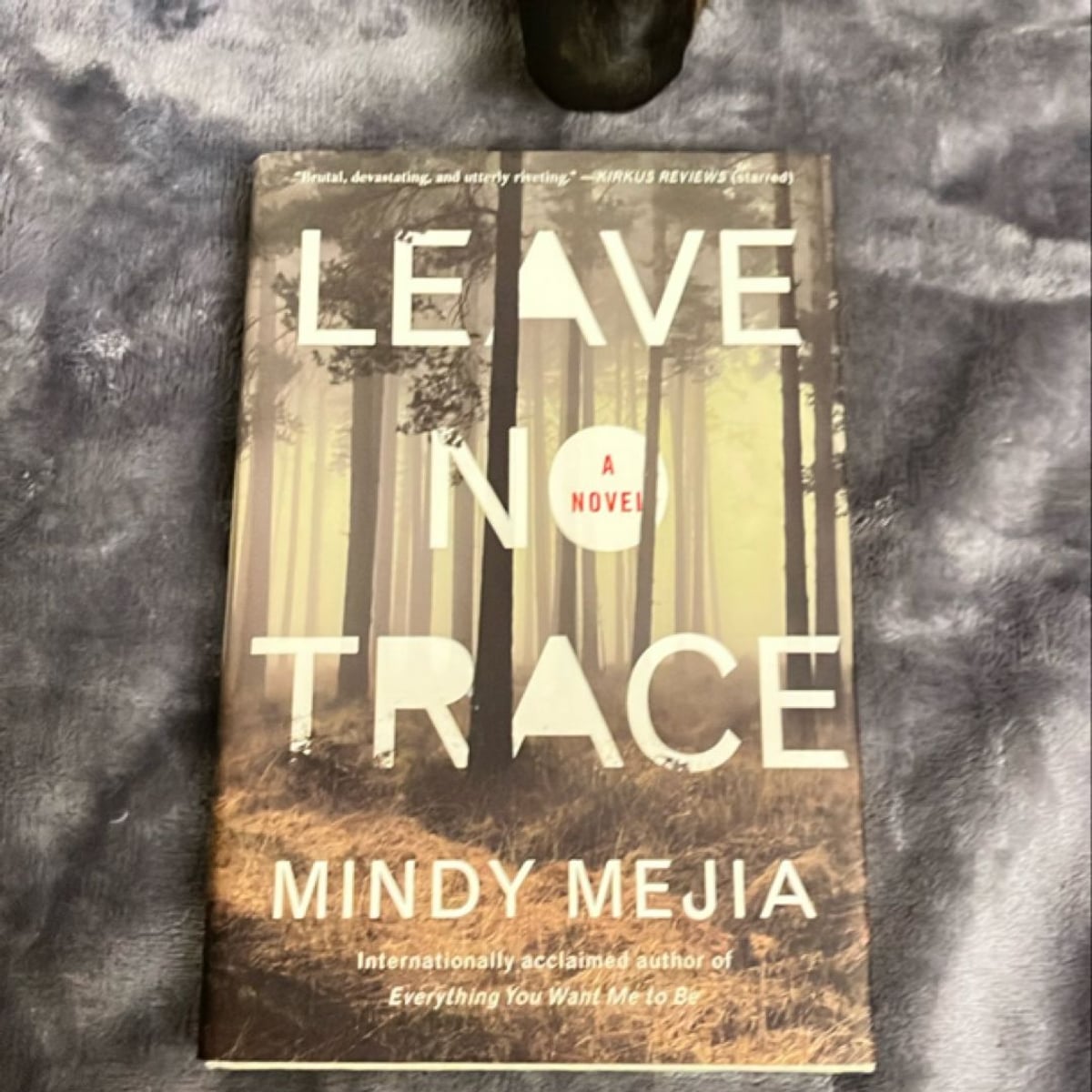 Leave No Trace by Mindy Mejia