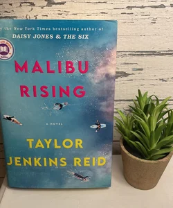 Malibu Rising 