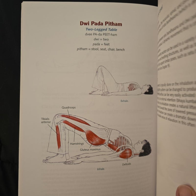 Yoga Anatomy