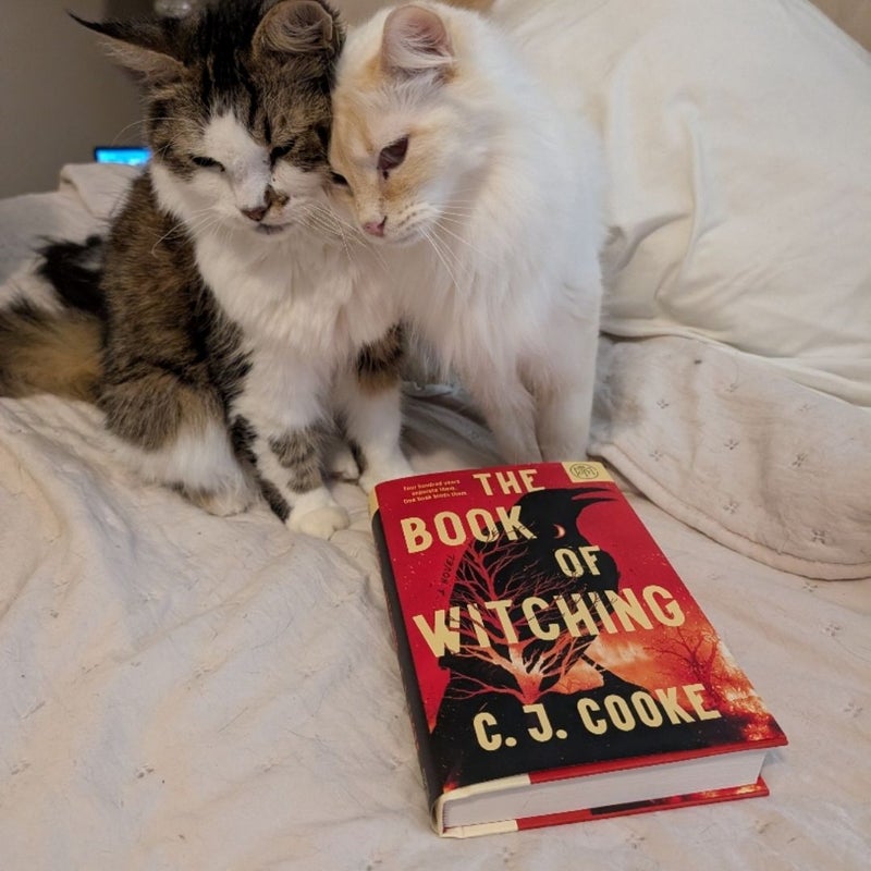 The Book of Witching