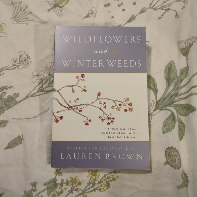 Wildflowers and Winter Weeds