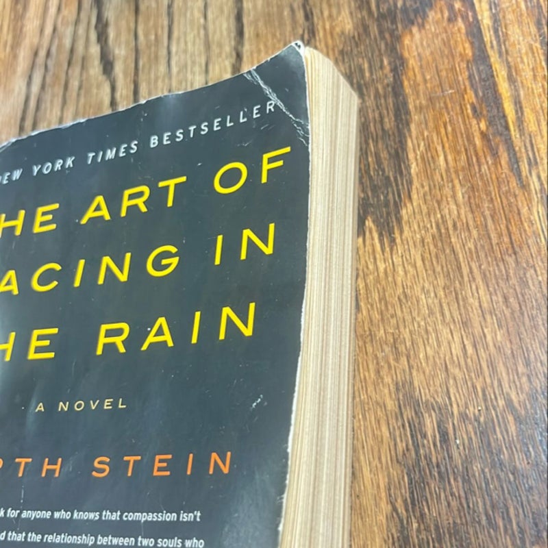 The Art of Racing in the Rain