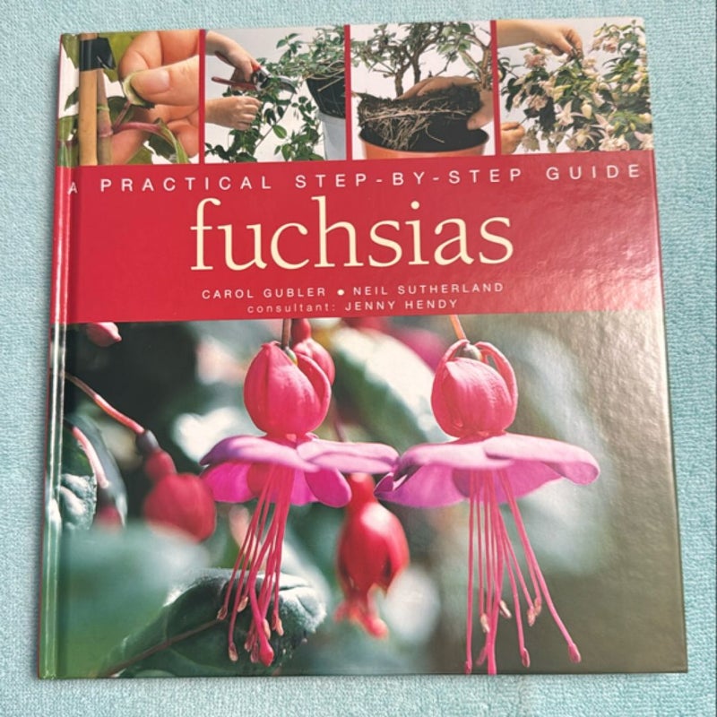 Fuchsias