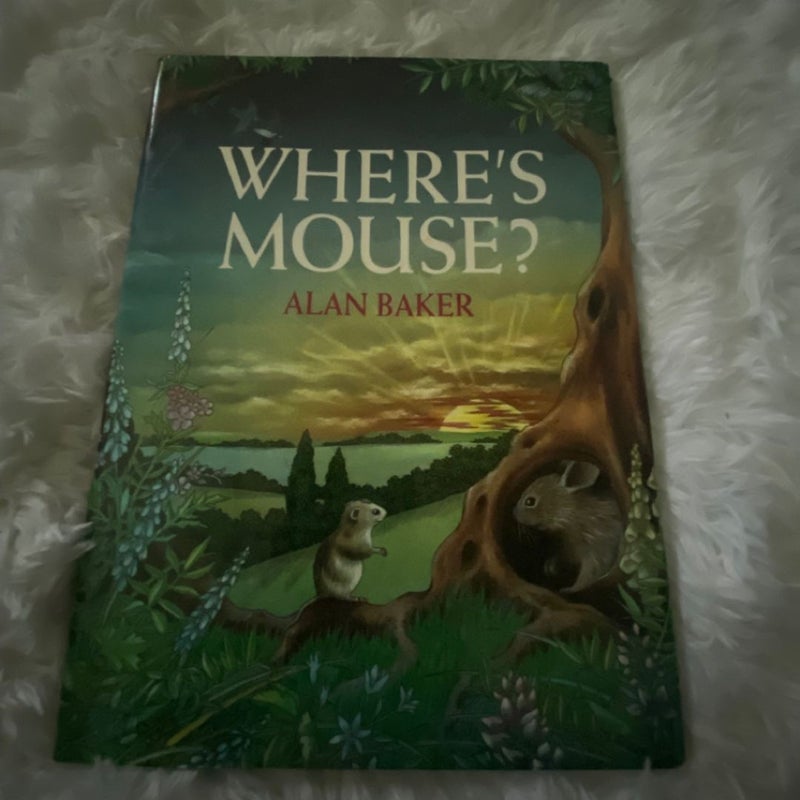 Where's Mouse?