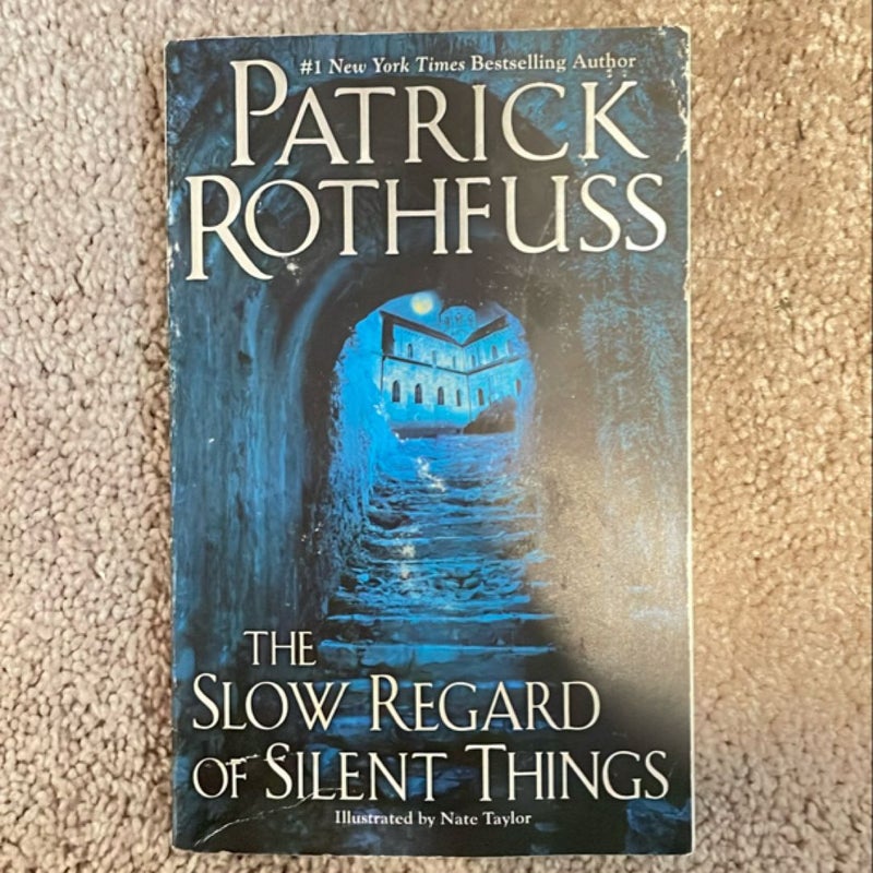 The Slow Regard of Silent Things