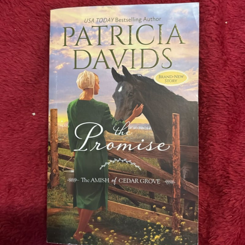 The Promise