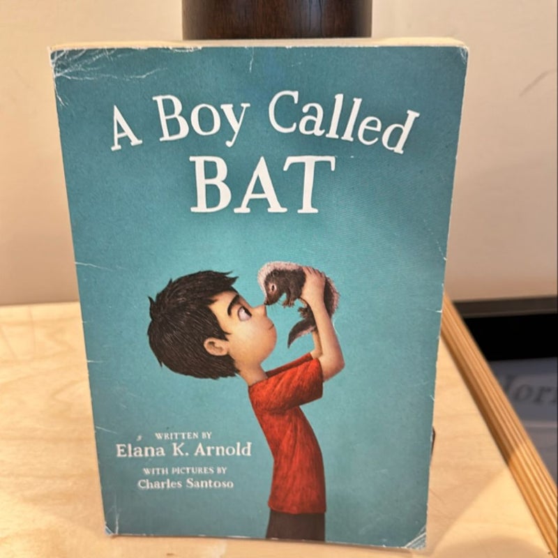 A Boy Called Bat