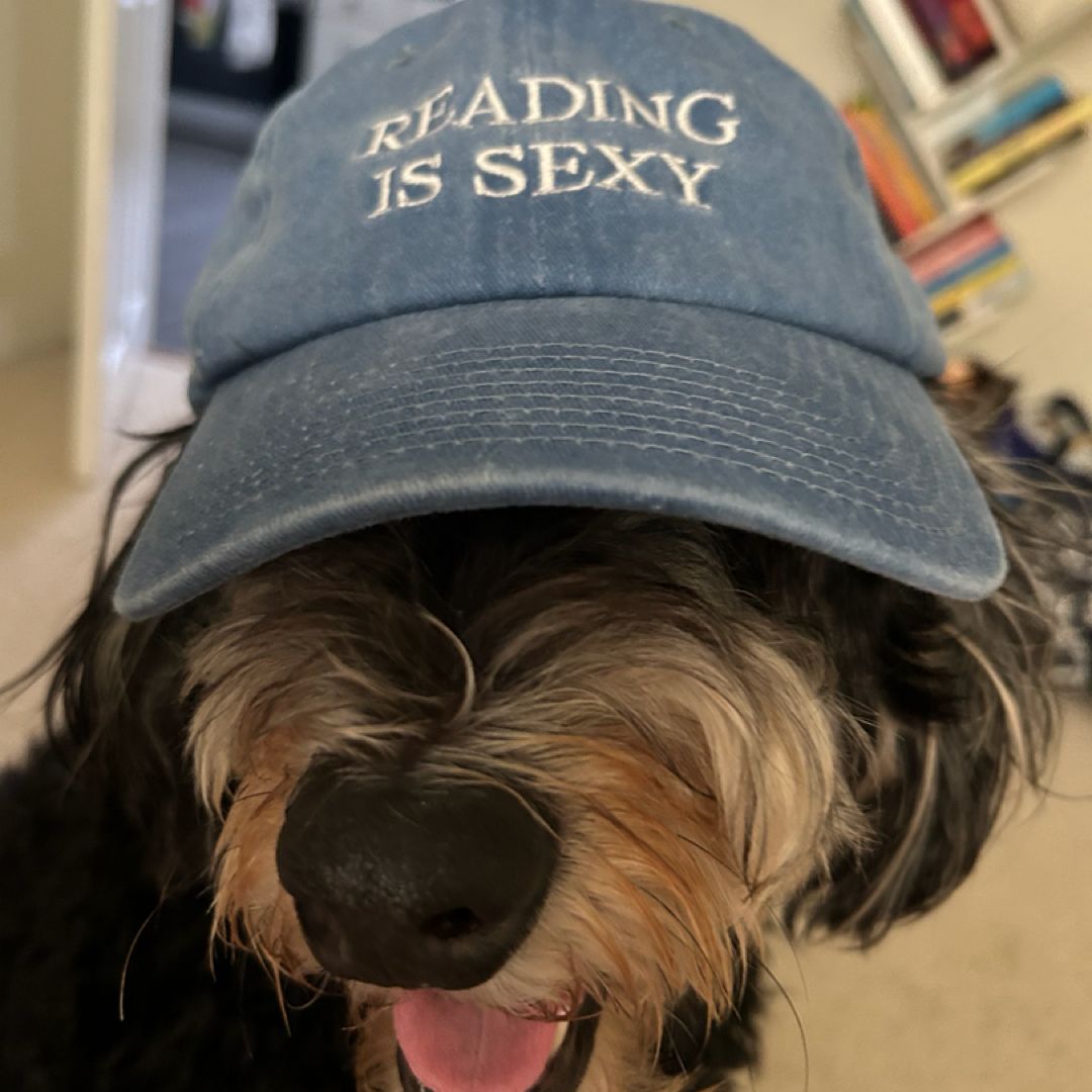 Books, Beaches & a Bernedoodle
