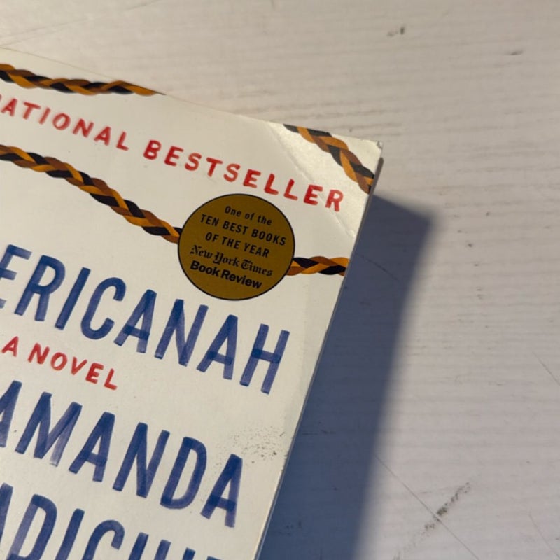 Americanah & We Should All Be Feminists 
