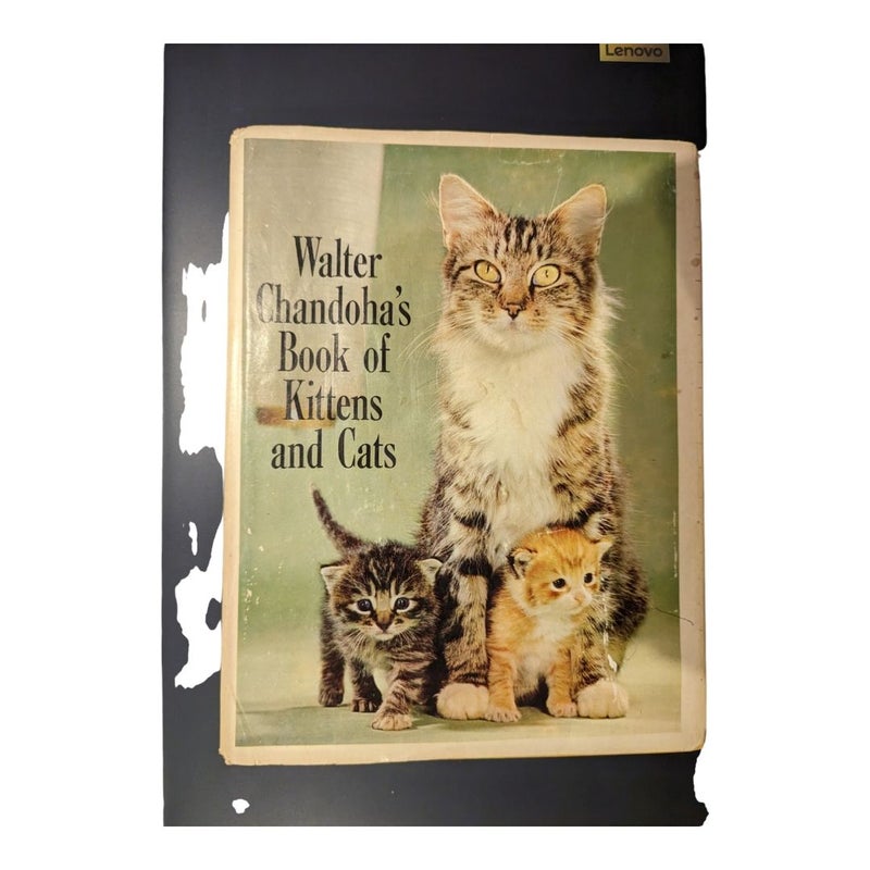 Walter Chandoha's Book of Kittens and Cats