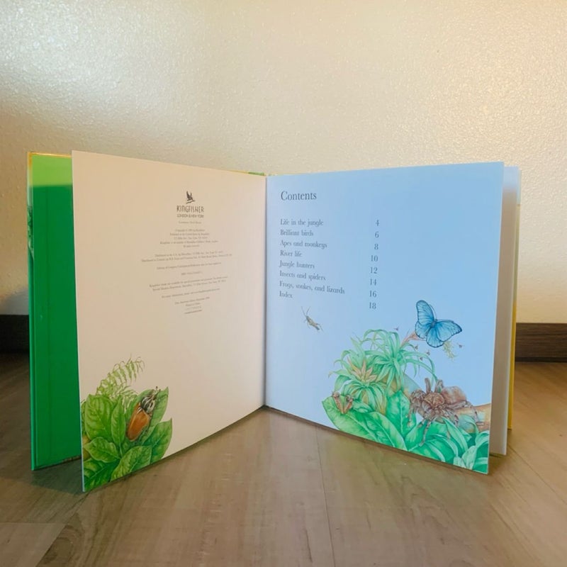 Flip the Flaps: Jungle Animals