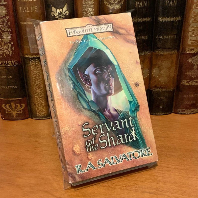 Forgotten Realms: Servant of the Shard, Legend of Drizzt, Sellswords 1 