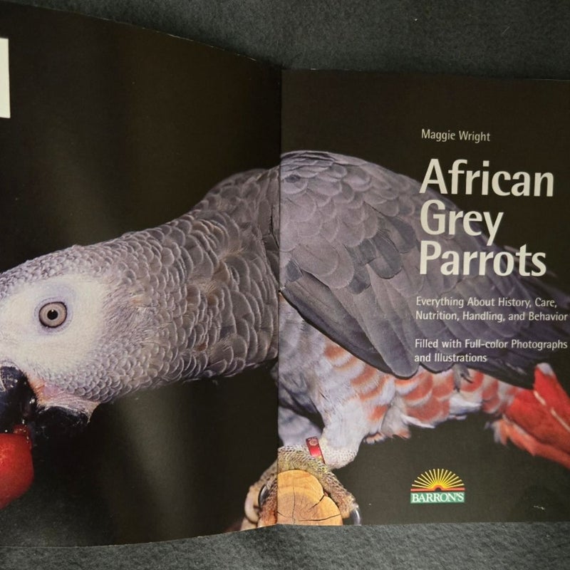 African Gray Parrots