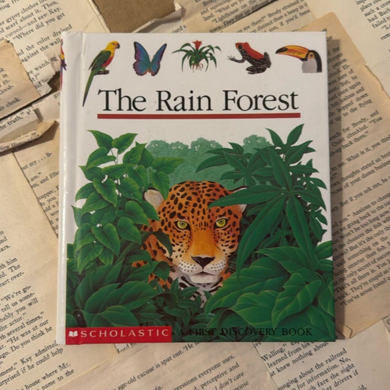 The Rain Forest