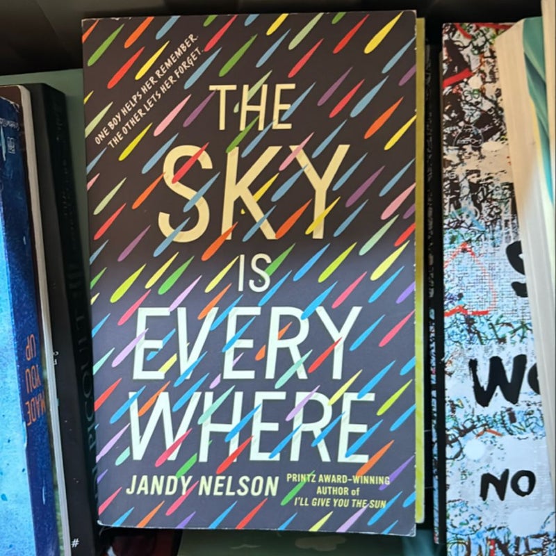 The Sky Is Everywhere