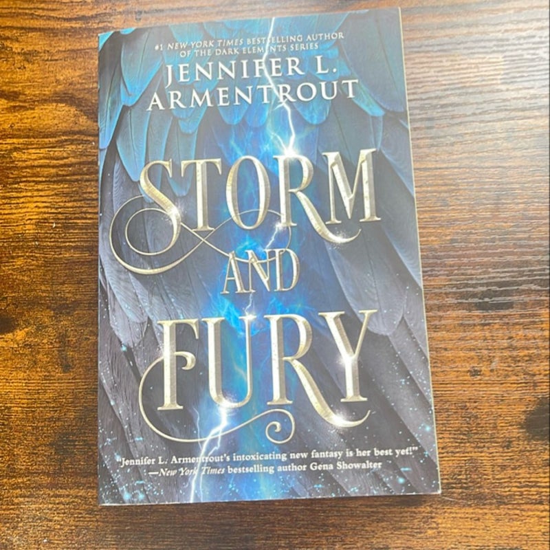 Storm and Fury