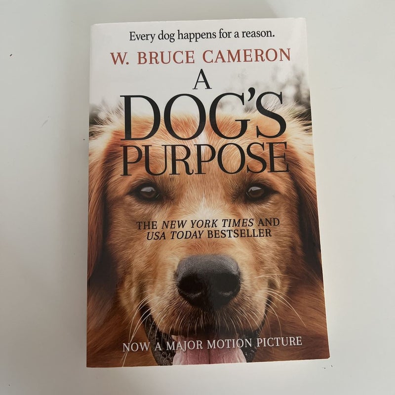 A Dog’s Purpose