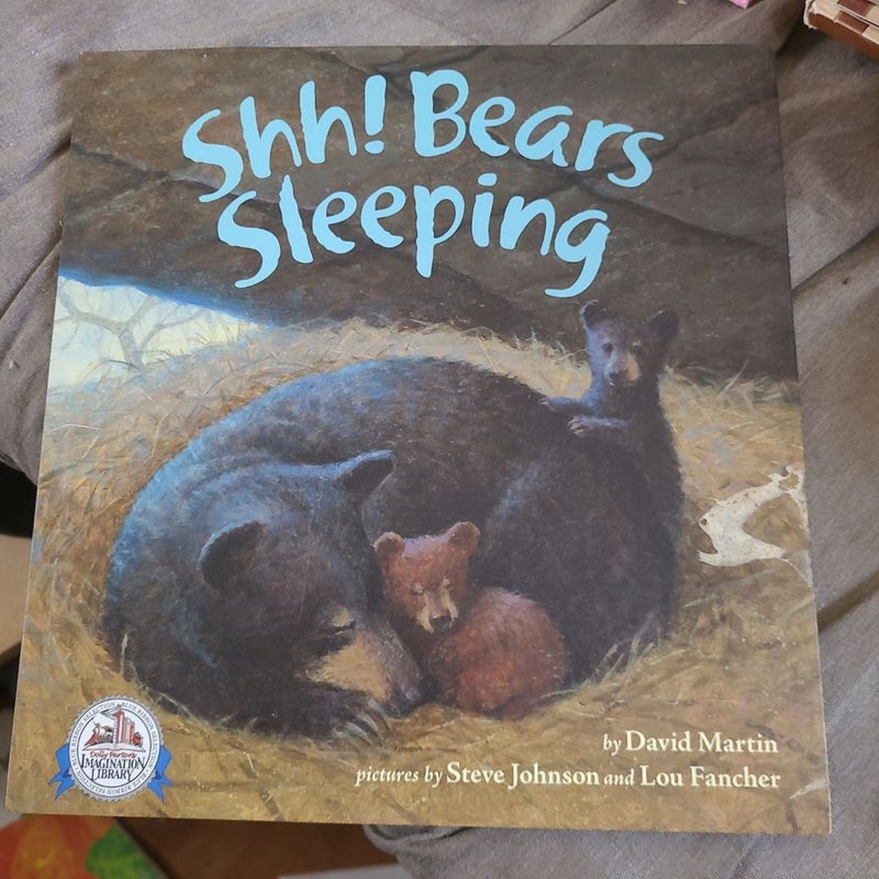 Shh!  Bears Sleeping